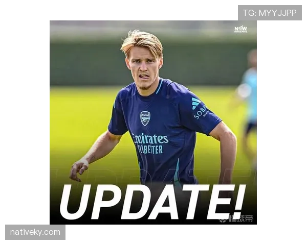 厄德高战术适配性分析 是否仅适合特定战术体系